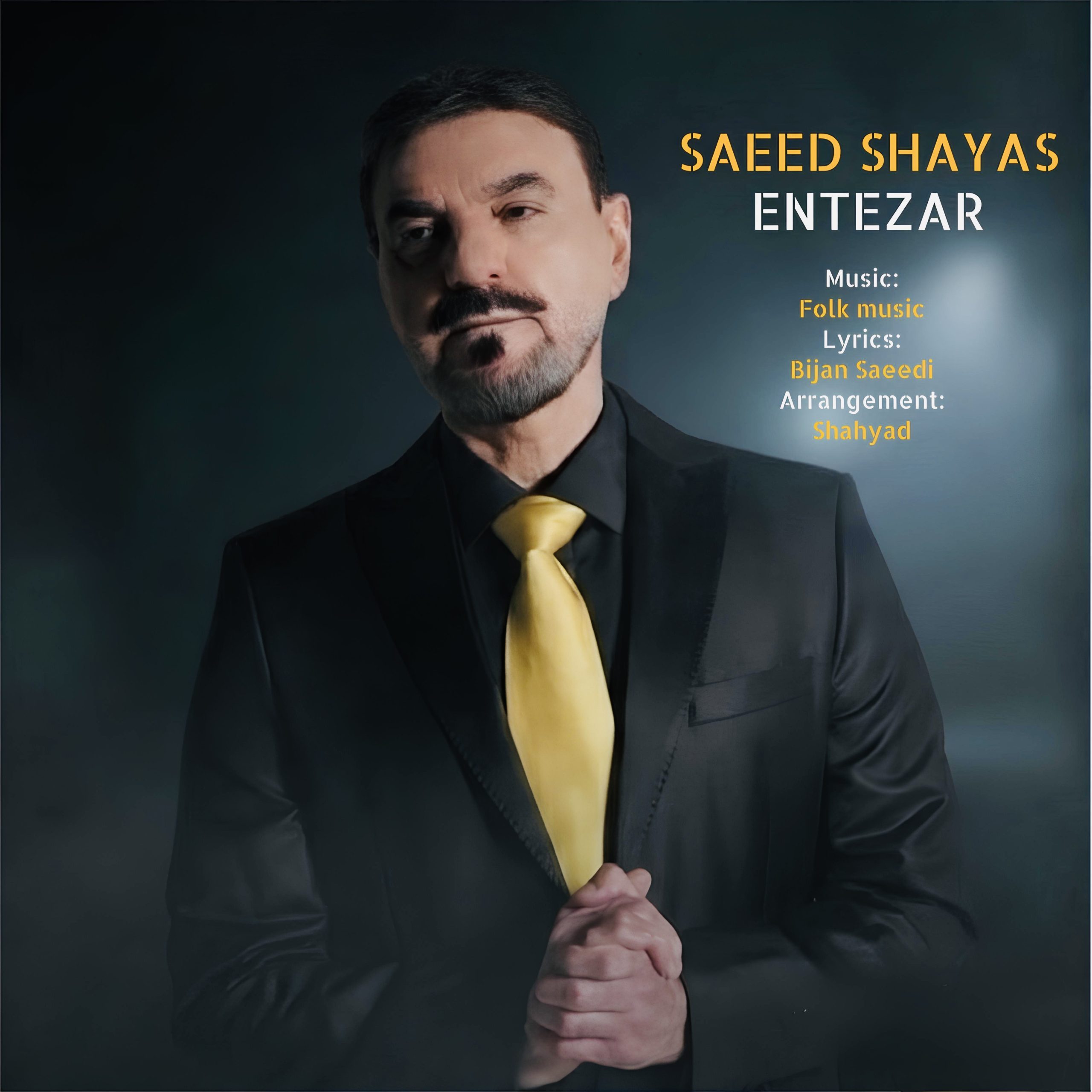 دانلود آهنگ انتظار از سعید شایاس